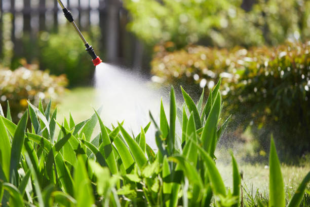 Tamper-Resistant Bait Stations for Rodents in Solana