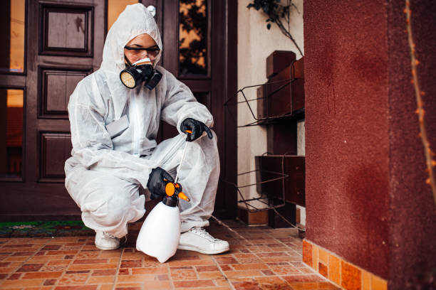 Attic and Crawl Space Rodent Treatment in Solana